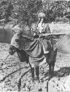 Klansman on horseback c. 1868. (Tennessee State Museum)