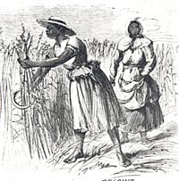 Detail of "Rice Culture on the Ogeechee," Harper's Weekly, January 5, 1867.
