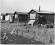 Cotton Camp Irrigation Ditch