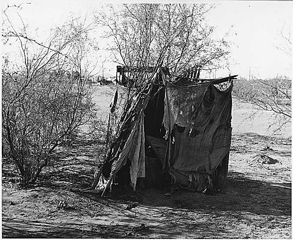 Cotton Camp Outhouse