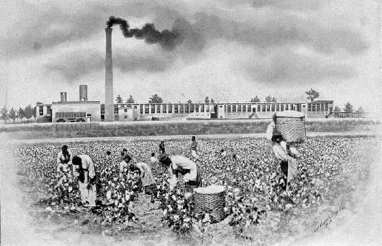 Cotton Pickers in Front of the Atherton Cotton Mill, Just Outside Dilworth South Caroline