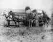 The Covered Wagon of the Great Western Migration. 1886 in Loup Valley, Neb.