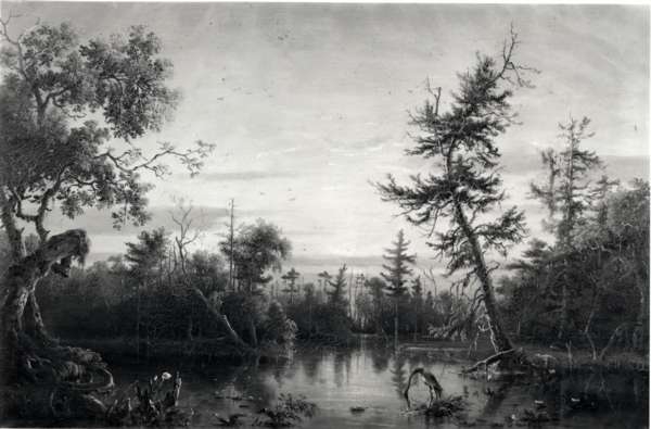 View, Dismal Swamp, North Carolina