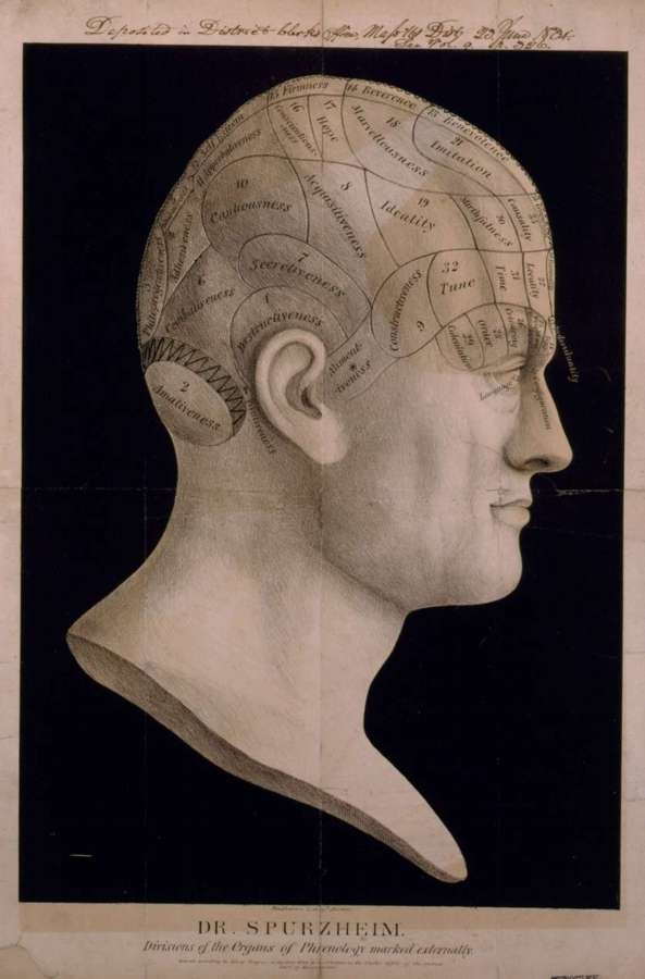 Dr. Spurzheim--Divisions of the Organs of Phrenology Marked Externally