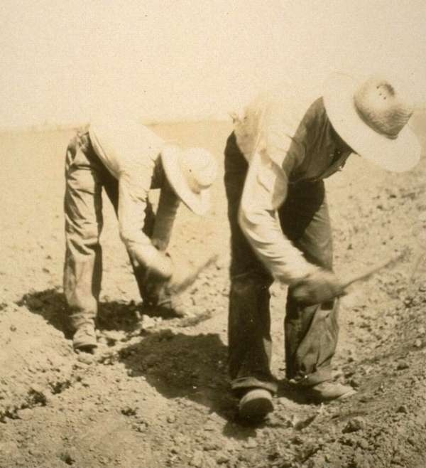 Filipinos Working in Field