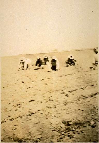 Filipinos Working in Field