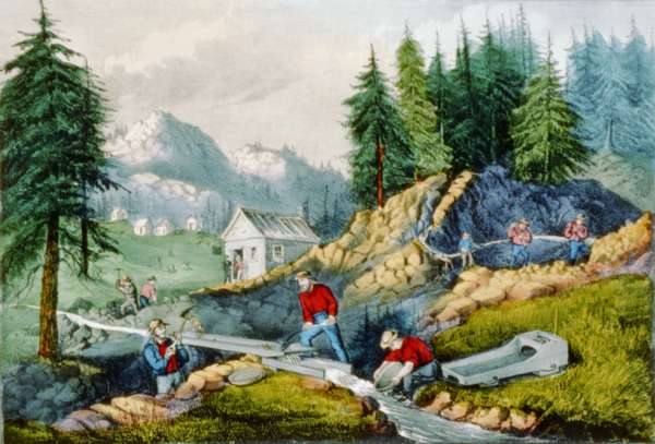 Gold Mining in California