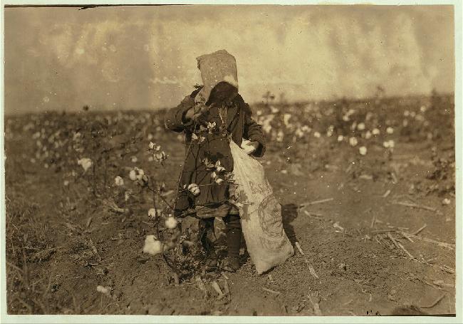 Dovey Kirkpatrick Picking Cotton