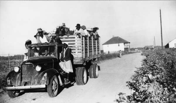 Negroes Brought In By Truck From Nearby Towns as Day Labor for Cotton Picking. Marcella Plantation, Mileston, Mississippi Delta, Mississippi