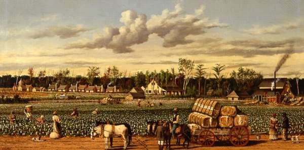 Plantation Economy in the Old South