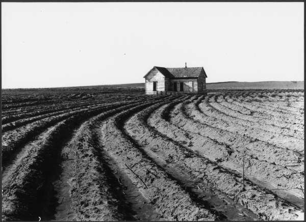 Power Farming Displaces Tenants. Childress County, Texas Panhandle
