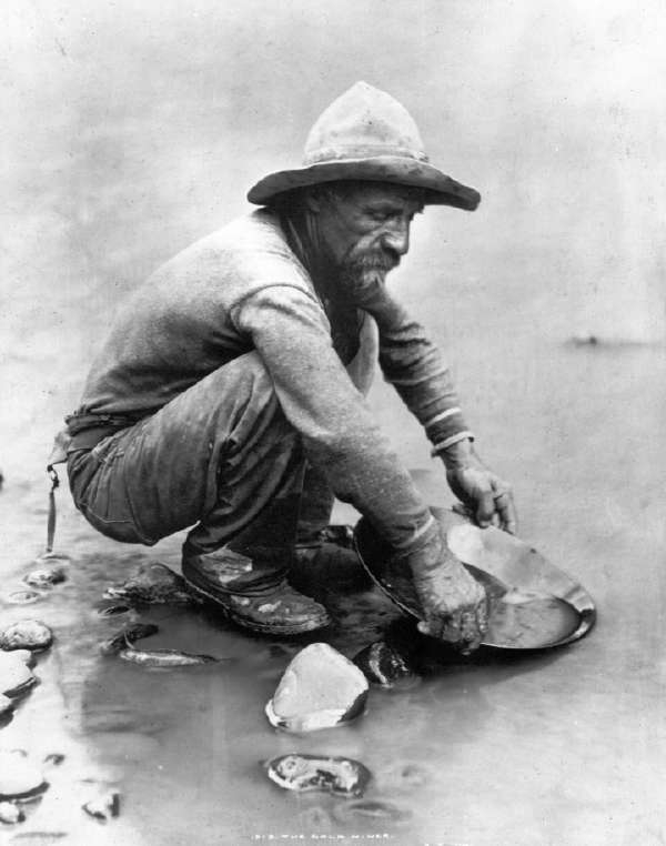 The Gold Miner