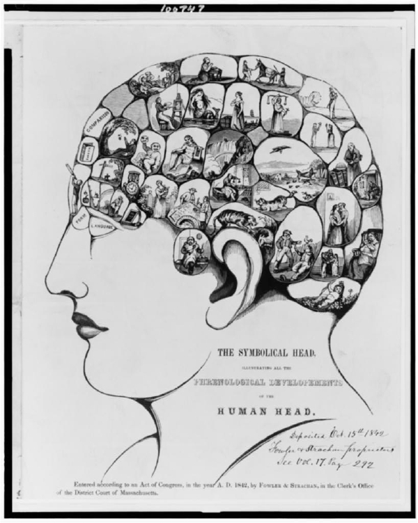 The Symbolical Head, Illustrating All the Phrenology