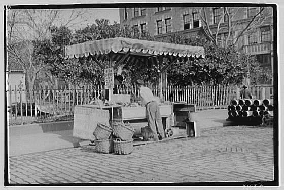 New York City Views. Vendor in Greenwich Village Area