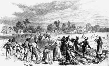 Scenes on a Cotton Plantation: Hoeing, engraving from Harper's Weekly, February 2, 1867