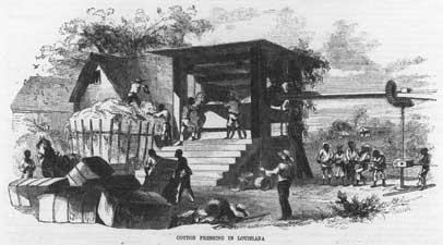 Cotton Pressing in Louisiana, engraving from Ballou's Magazine, April 12, 1856
