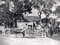 African-Americans going to work in the fields on Edisto Island, 1862