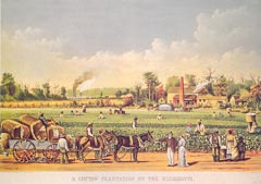 "A Cotton Plantation on the Mississippi," Currier & Ives, 1884. (Library of Congress)