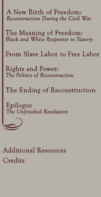 The Opposition to Reconstruction - Digital History