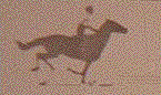 Animated Gif of Muybridge's horse.